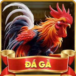 Khuyến mãi cá nhân hóa xin88 bet