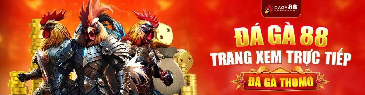 Sân đấu đá gà trực tuyến xin88 bet